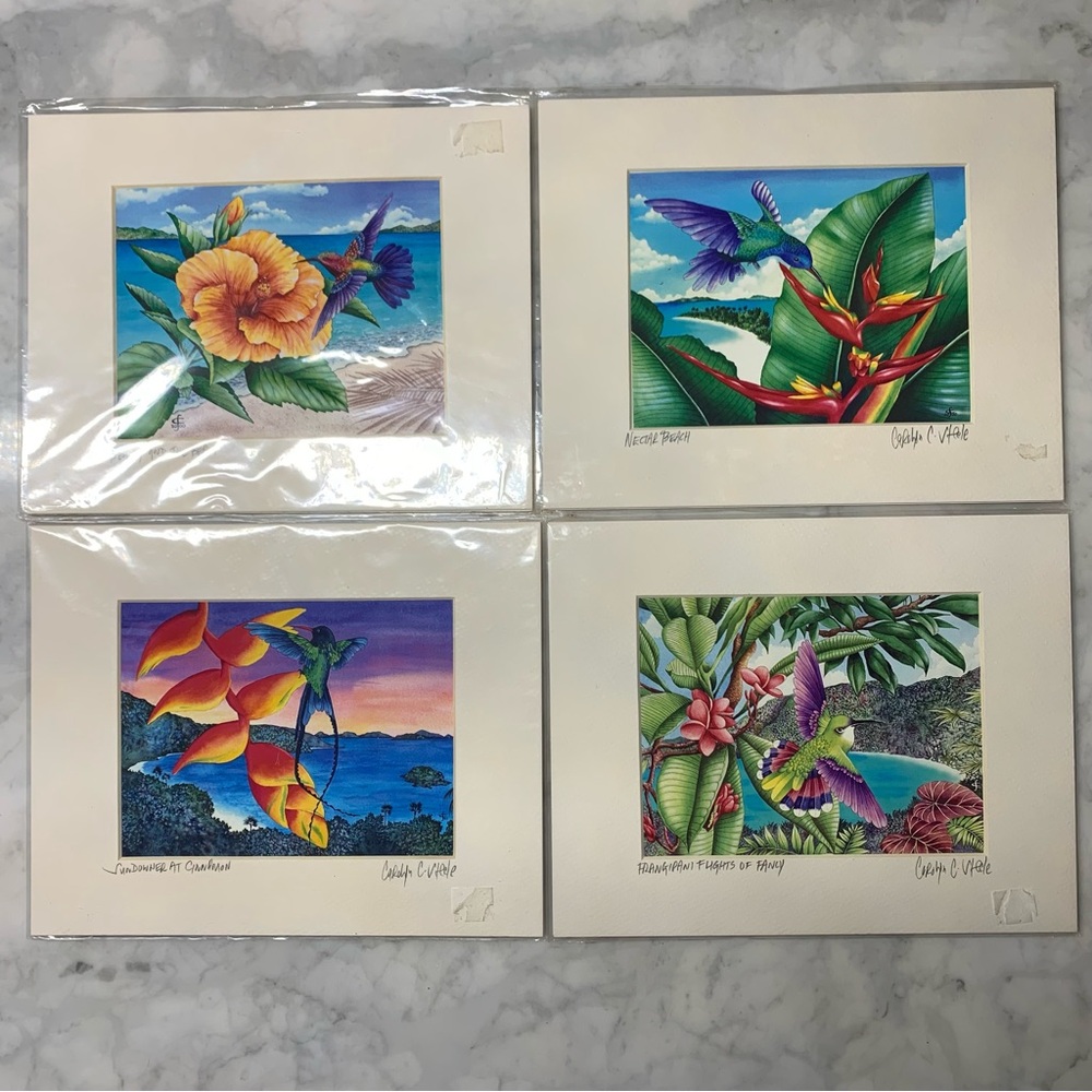 4 Carribean Hummingbird Signed Prints Carolyn Steele Colorful Tropical Wildlife
